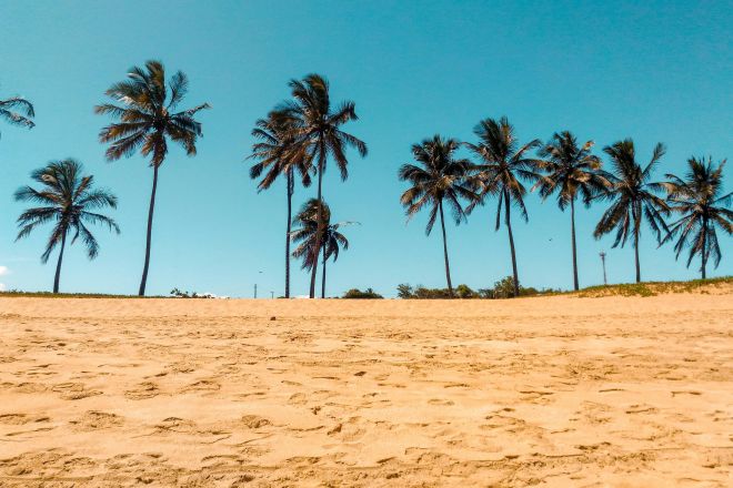 Serene tropical beach with coconut palms under a clear blue sky in Brazil.
